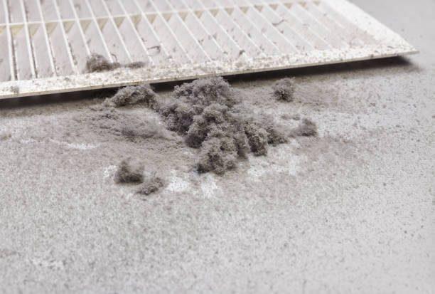 Best Local Air Duct Cleaning Services  in Selma, NC